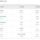 소미실비