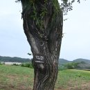 장남면주민자치센터(1층) | 2026.08.16.-1 국가유산 방문 - 선사 지질의 길 (연천 호로고루) -고구려의 성곽
