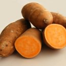 얌(YAM) 네이버블로그