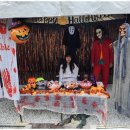 강원도힐링캠핑장 이미지