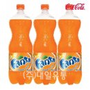 오렌지펫 이미지