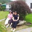 한마음펜션 이미지