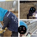 (주)영원주유소 네이버블로그