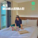 속초사잇길 제3길 | 속초 저렴한 뚜벅이 숙소 속초바이베스트웨스턴