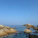 청풍목장 이미지