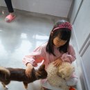 아리엘언니 이미지