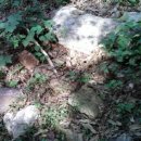 선부동 지석묘군 이미지