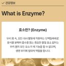 충청북도바이오슈퍼，캐터링 | [리얼 후기 대폭발] CJ 바이오코어 최화정 효소, 요즘 왜 다들 찾는 걸까?