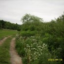 푸른솔농장2 이미지