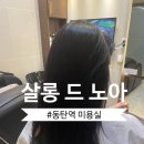 살롱드노아 - 김포시 | 살롱드노아