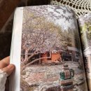 아미산농장 | 에어비앤비) 울산 경주여행 숙소 추천 소소산방 후기!