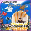 부산 기장 가볼만한곳 국립수산과학관 주차장 아쿠아리움 상세 후기