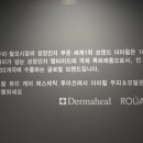 jj 에스테틱 네이버블로그