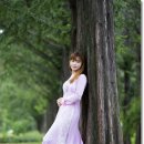 리틀하노이 이미지