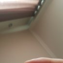 영일약국 이미지