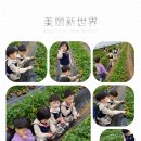 영훈 농장 이미지