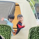 하기숲 캠핑장 | 대전 도심 속 캠핑장 하기숲캠핑장 5번 사이트 후기 (예약 매우 어려움)