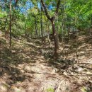 낭비성娘臂城 이미지