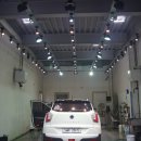 카멜레온 디테일 이미지