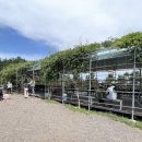 투데이목장 이미지