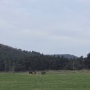 대동2목장 이미지