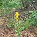 금대농장 이미지