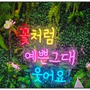 온정로9번길 | 권선구꽃집 마루꽃, 언제든 예쁜 꽃이 기다리는 24시 플라워공간