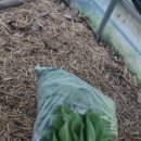 동산농원 이미지