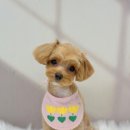 몽몽미용실 이미지