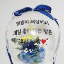 뿌이토퍼앤벌룬