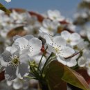 은현농장 이미지