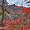 밀양 천왕산,재약산 15k산행 이미지