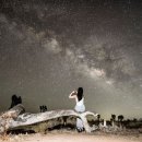 원트리투어 이미지