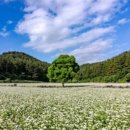 게임천국나라사랑 이미지