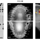 그린스톤산업㈜ 이미지