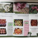 일송농장 이미지