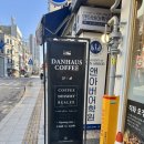 골목하우스 | 교동 골목 머랭디저트 맛집, 감성 카페 댄하우스 후기☕️