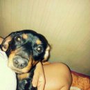 대전대흥초등학교 이미지