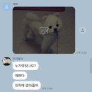 개포별빛동물병원 이미지