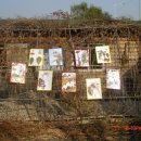 고일초등학교 이미지