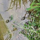 다빛초등학교 이미지