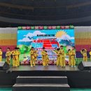 대호체육도장 이미지