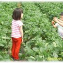 희주농장 이미지