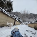 소강 | [경북 봉화] 눈부시게 아름답고 코끝은 시렸던 겨울 여행 : '소강고택' 1박 2일 리얼 후기 ❄️