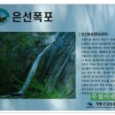 은선 Daum카페