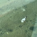 갈매기회센타 | 아는 사람만 아는 영덕 지하 회 센터 돈이 아깝지 않은 대게, 회 맛집 “대구 횟집” 내돈내산 방문 후기