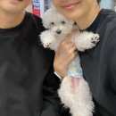 성남 애견카페 멍브로 상주견 상주묘 모두 있는 곳