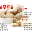 생강효능 생강차의효능 생강 부작용 이미지