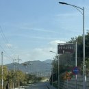 경성목장 | 논산 가볼만한곳 추천｜선샤인랜드, 선샤인스튜디오 방문 후기