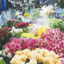 기분좋은허브이야기 이미지